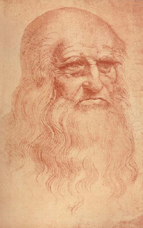 LEONARDO da Vinci Self Portrait china oil painting image
